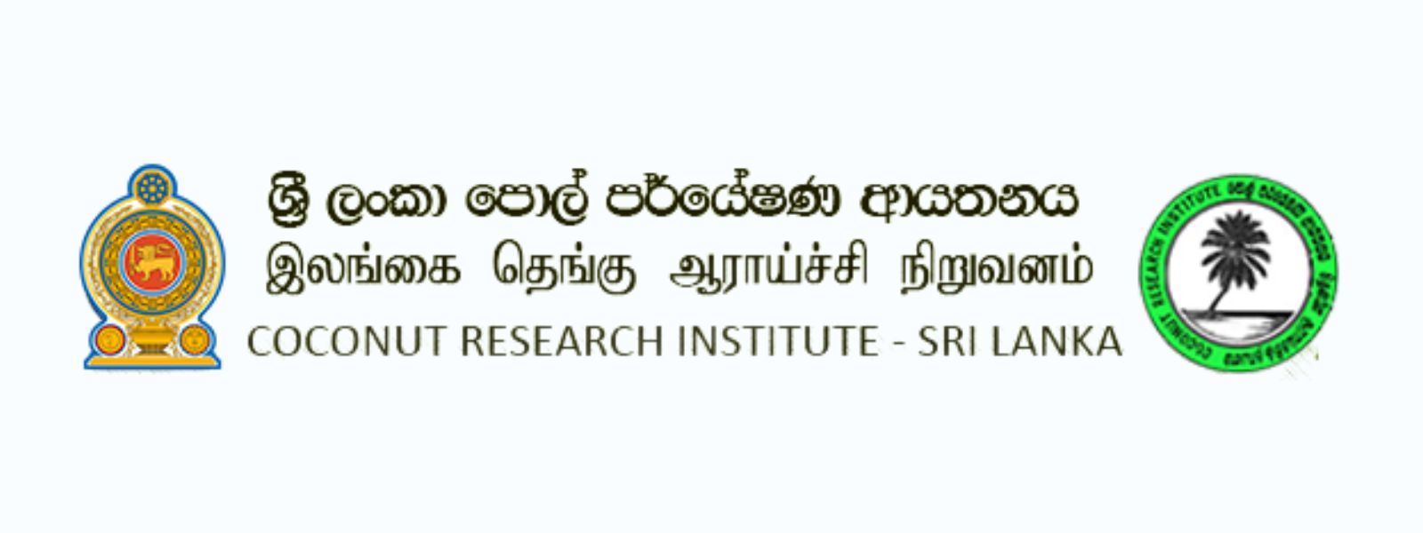 Export of Local Coconut Products Hit Hard